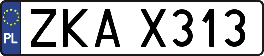 ZKAX313
