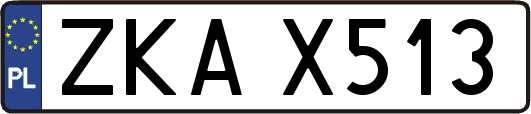 ZKAX513