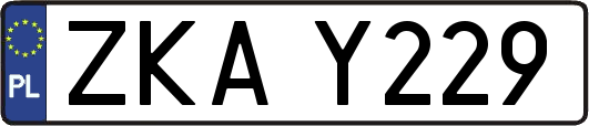 ZKAY229