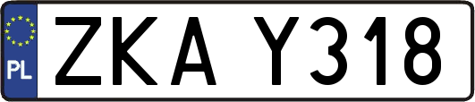 ZKAY318
