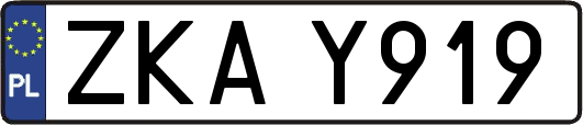 ZKAY919