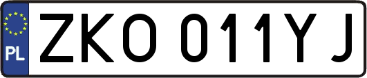 ZKO011YJ