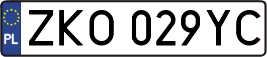 ZKO029YC
