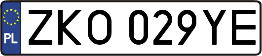 ZKO029YE