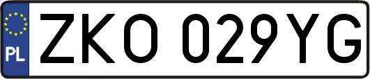 ZKO029YG