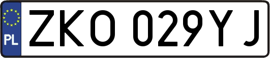 ZKO029YJ