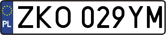 ZKO029YM