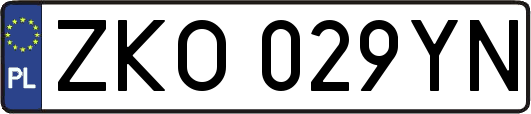 ZKO029YN