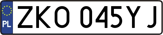 ZKO045YJ