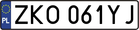 ZKO061YJ