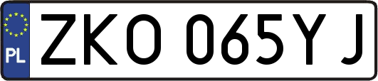 ZKO065YJ