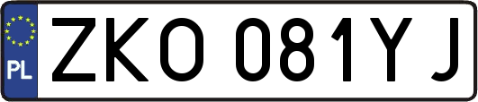 ZKO081YJ