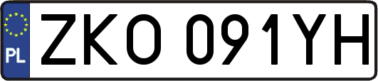 ZKO091YH