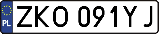 ZKO091YJ