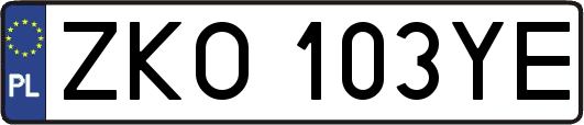 ZKO103YE