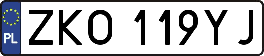 ZKO119YJ