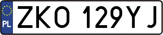 ZKO129YJ