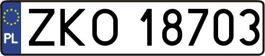 ZKO18703