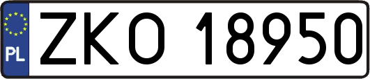 ZKO18950