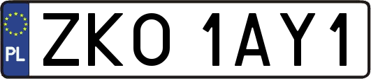 ZKO1AY1