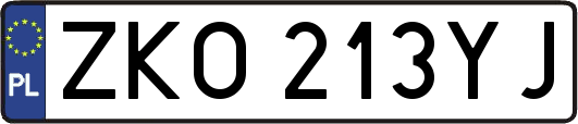 ZKO213YJ
