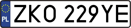 ZKO229YE