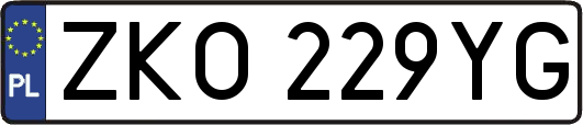 ZKO229YG