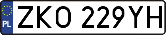 ZKO229YH