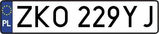 ZKO229YJ