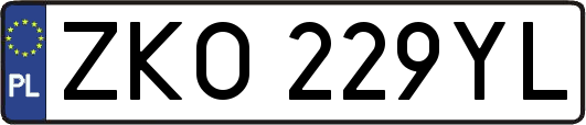ZKO229YL