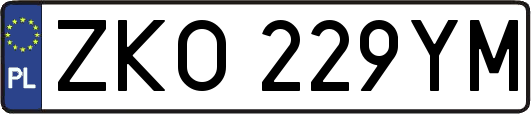 ZKO229YM