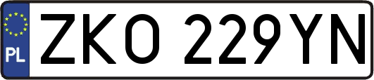 ZKO229YN