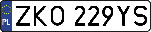 ZKO229YS