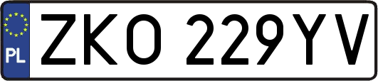 ZKO229YV