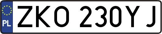ZKO230YJ