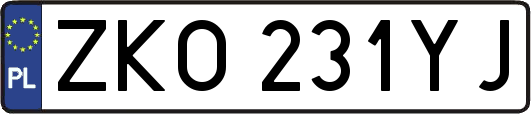 ZKO231YJ