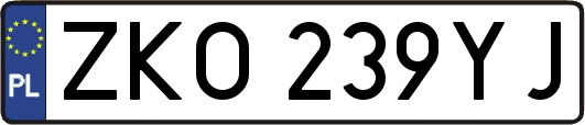 ZKO239YJ