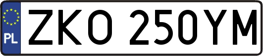 ZKO250YM