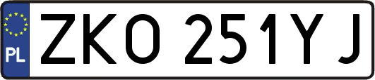 ZKO251YJ