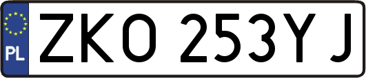 ZKO253YJ