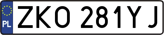 ZKO281YJ