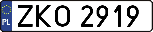 ZKO2919