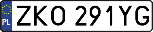 ZKO291YG