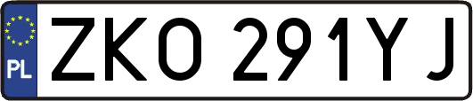 ZKO291YJ