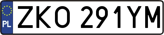 ZKO291YM