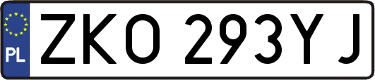 ZKO293YJ