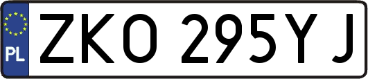 ZKO295YJ