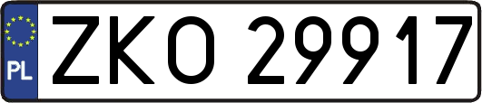 ZKO29917