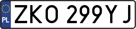 ZKO299YJ