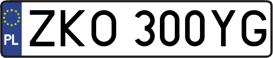 ZKO300YG